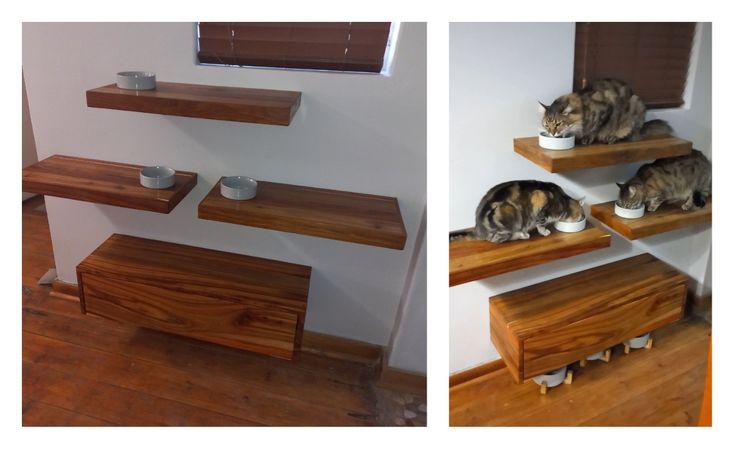 two pictures of cats eating from bowls on wooden shelves