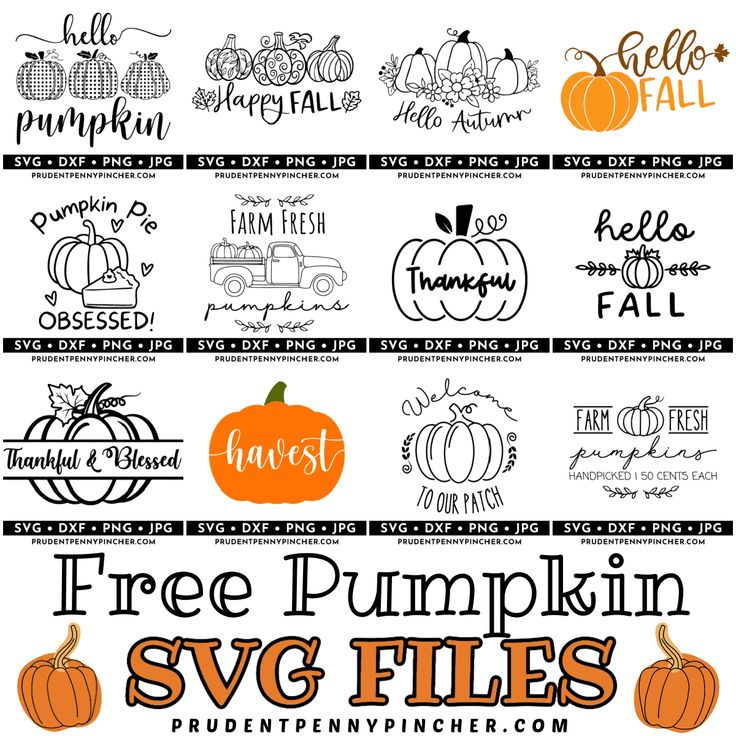 the free pumpkin svg files