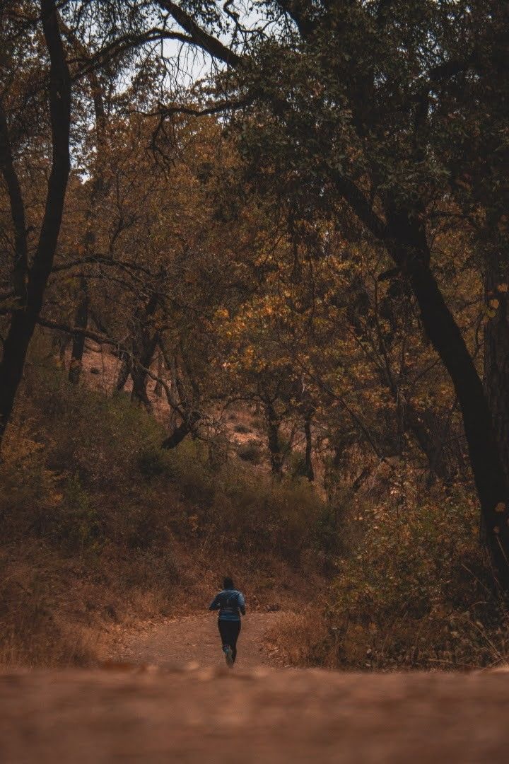 a person walking down a dirt road in the woods