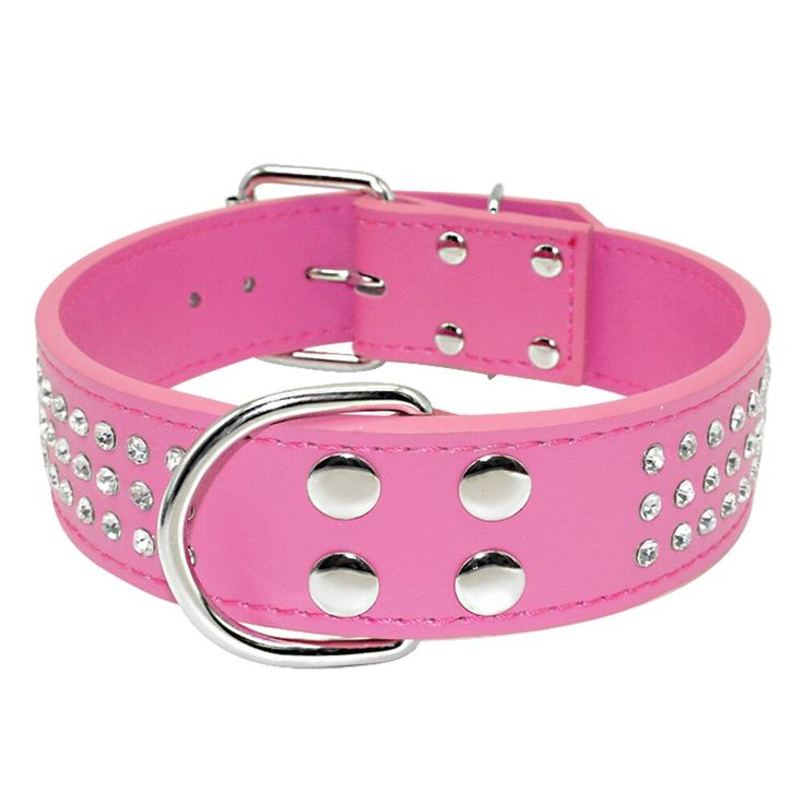 a pink dog collar with silver studs