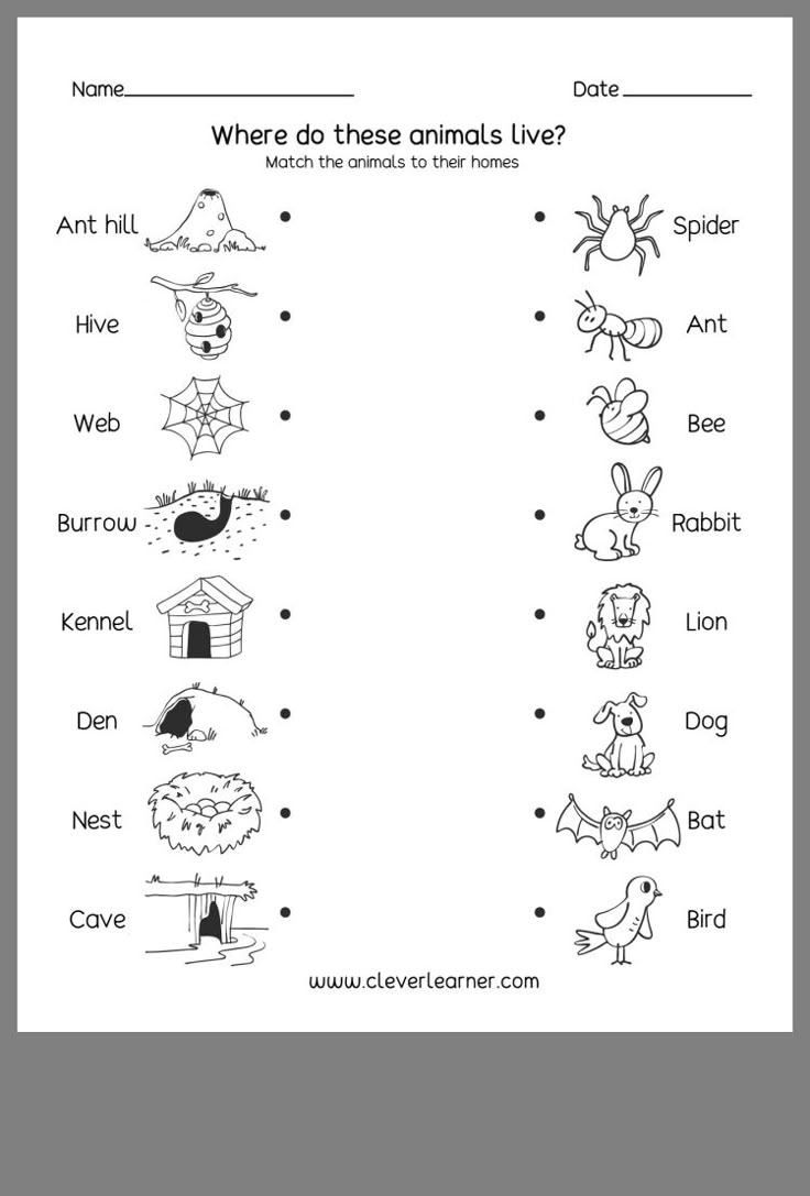 an animal's life worksheet for kids to learn how to write and draw