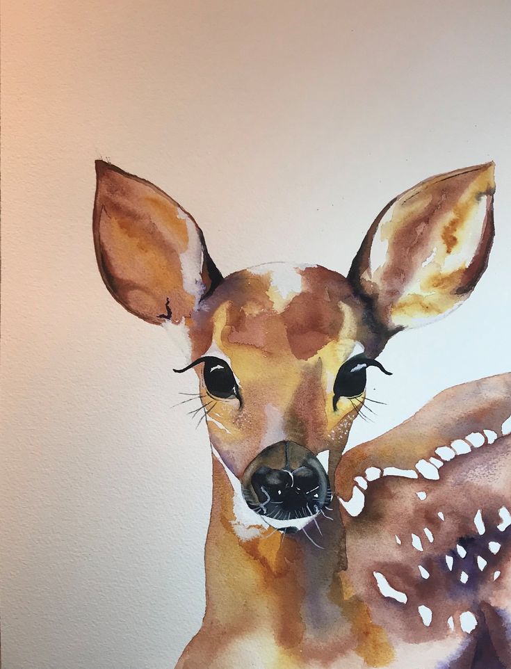 a watercolor painting of a baby deer