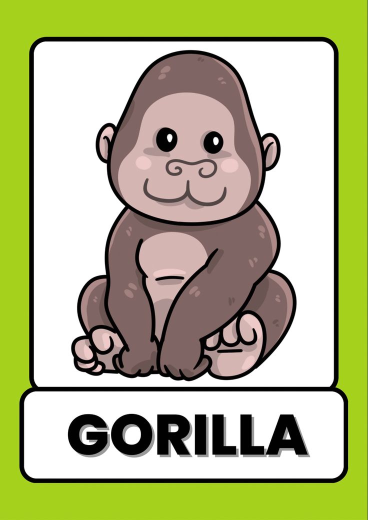 animals flash card, animals flash cards, farm animals flash card, animals flash cards pdf, wild animals flashcards, zoo animal flashcards, animals flashcards pdf, animals flashcards printable, animals flashcards free printable, flashcards of animals, flash cards or flashcards Animals Flashcards For Kids, Abc Preschool, Different Types Of Animals, Animal Flashcards, Kids English, Primary Education, Flashcards For Kids, Helping Children, Reggio Emilia