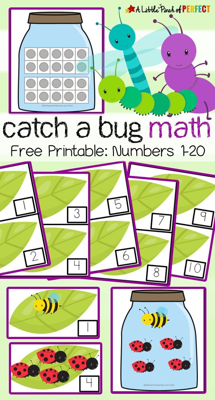 the printable bug math game for kids