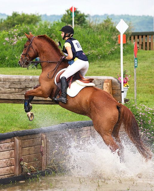 a woman riding on the back of a brown horse over a wooden barrier in water