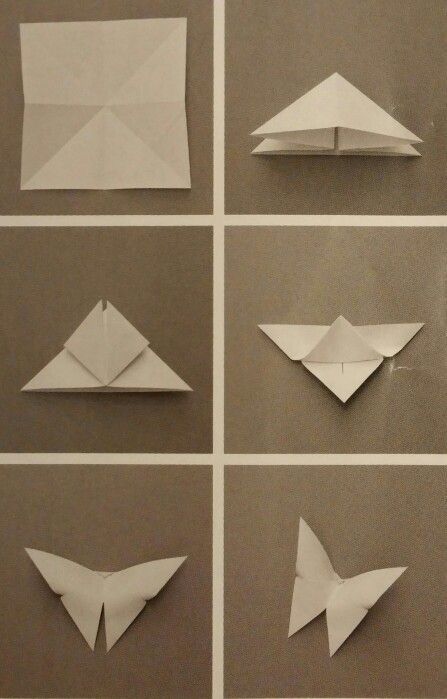 six different types of origami butterflies on a gray background, each with one folded in half