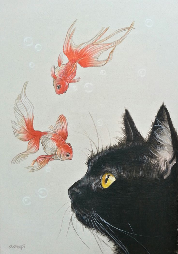 a painting of a black cat looking at goldfish