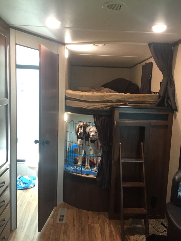 there is a bunk bed with two dogs in it and a ladder to the top