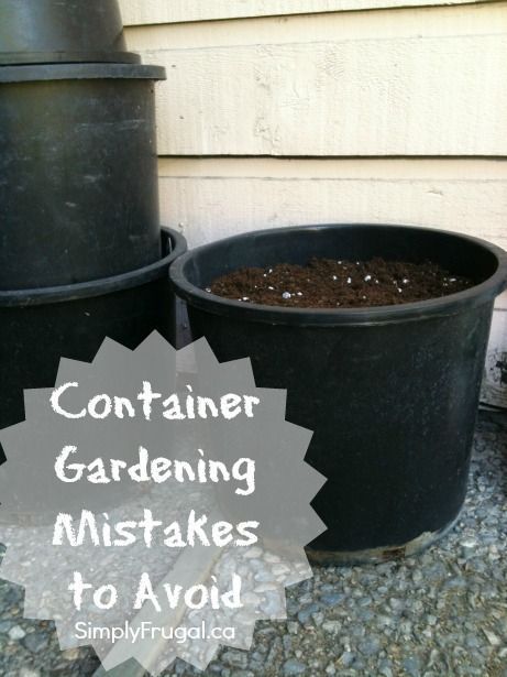 two black pots with dirt in them and the words container gardening mistakes to avoid