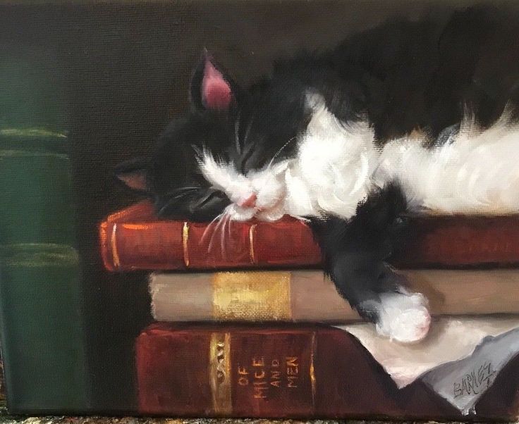 a painting of a black and white cat sleeping on books