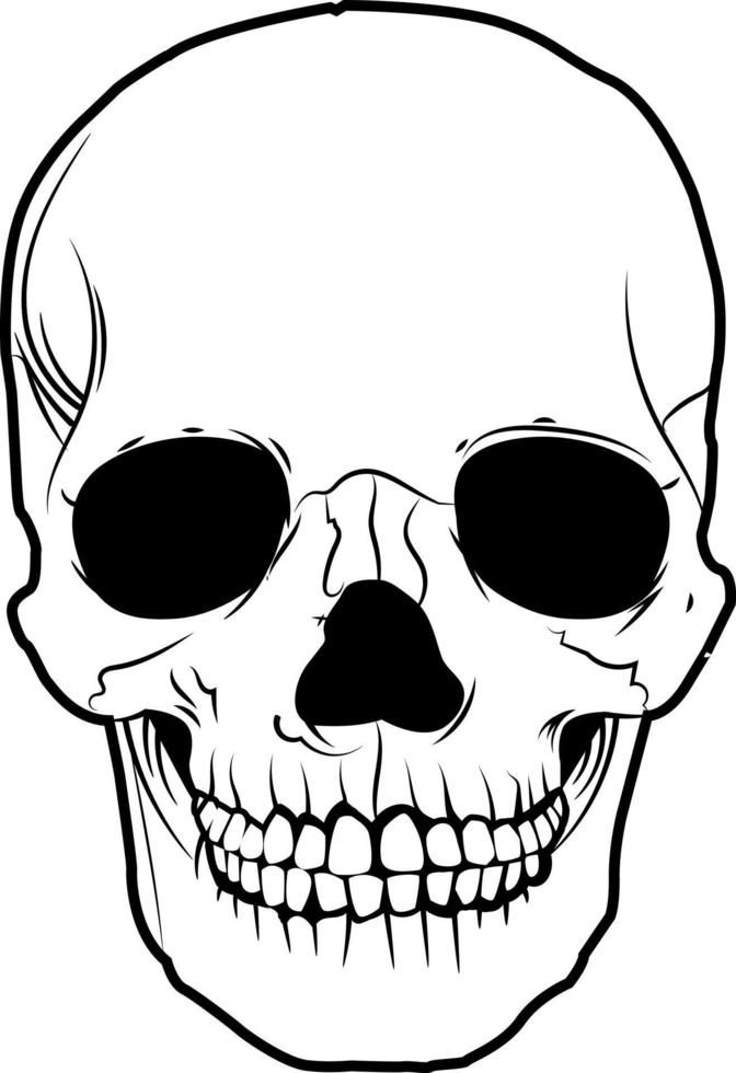 a black and white drawing of a skull