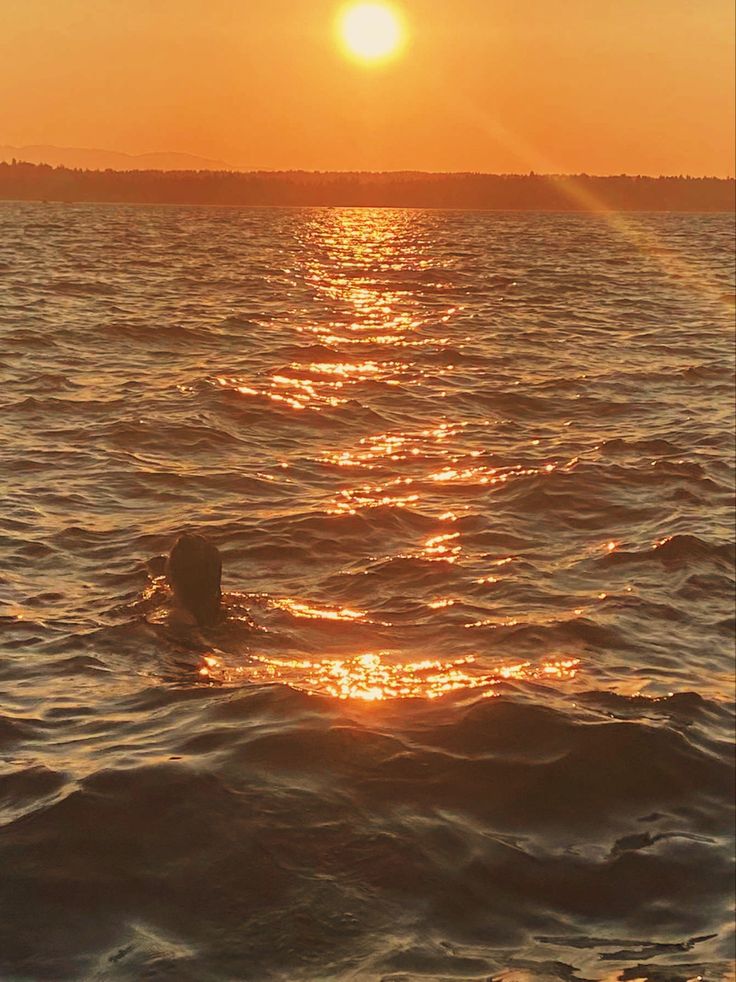 sunset 
swimming 
ocean
mermaid Outside Sunset, Yoga Calm, Ocean Swimming, Travel Island, Calm Meditation, Ocean Mermaid, Island Sunset, Mermaid Vibes, Mermaid Aesthetic