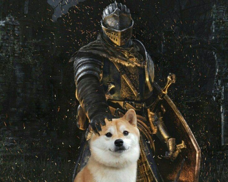 a dog sitting next to a man in armor