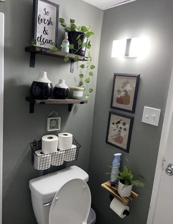 a white toilet sitting in a bathroom next to a shelf filled with plants and toilet paper