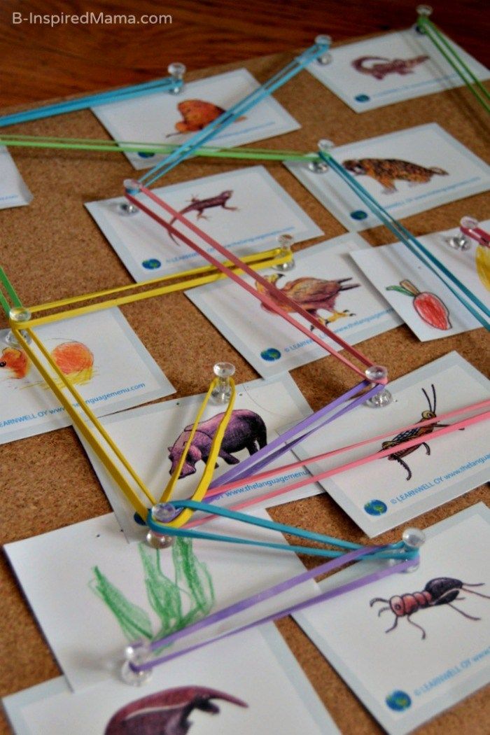 several different types of insects on paper with colored pencils and glue sticks in front of them