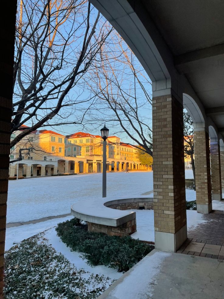 the snow is covering the ground and trees in front of an old building with many windows