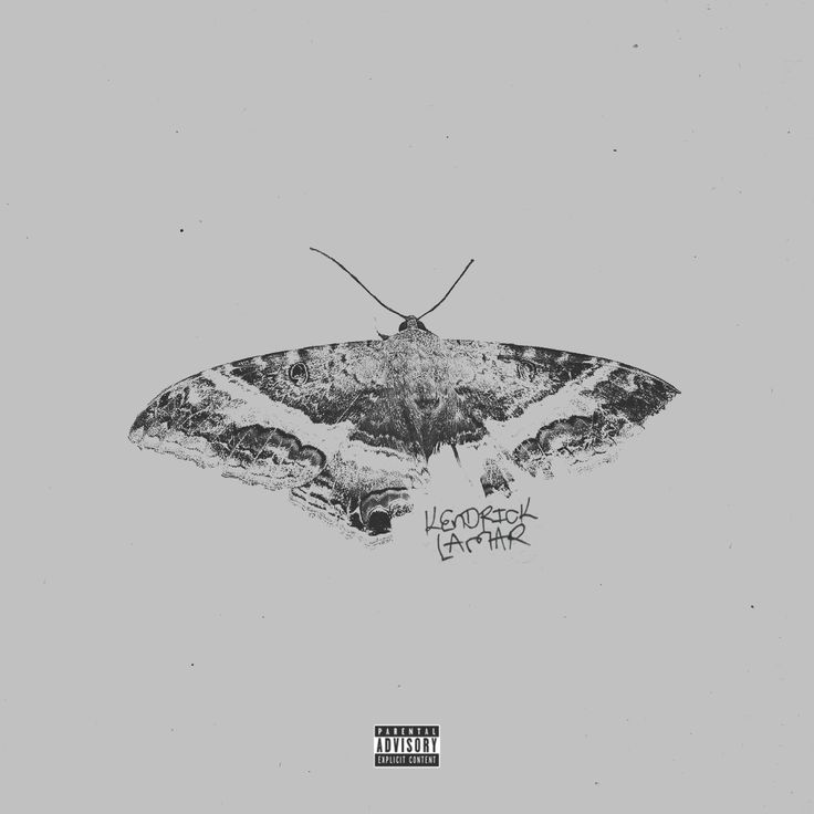 a black and white image of a moth on a gray background with the words, i am