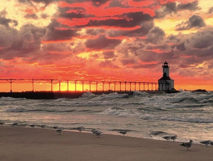 birds are standing on the beach as the sun sets over the ocean with a light house in the distance