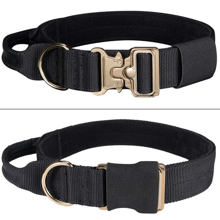 EXCELLENT ELITE SPANKER Tactical Dog Collar Military Adjustable Dog Collar Heavy Duty Dog Collar with Metal Buckle and Control Handle(Black) Tactical Dog Collar, Black Coyote, K9 Dogs, Working Dog, Military Dogs, Dog Store, Puppy Collars, Dog Gear, Quick Release Buckle