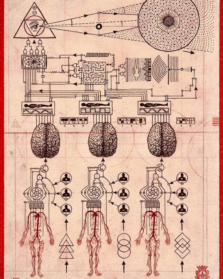 the diagram shows how many different things are connected to each other, and what they look like