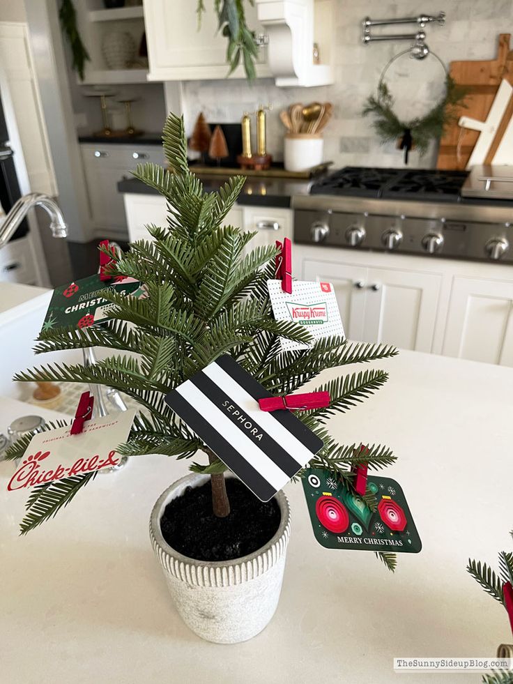 a small christmas tree sitting on top of a kitchen counter next to a potted plant