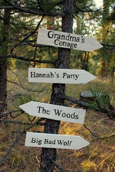 wooden signs pointing to different locations on a tree in the woods with grass and trees