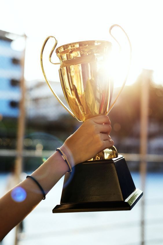 a person holding up a trophy in front of the sun with their hand on it