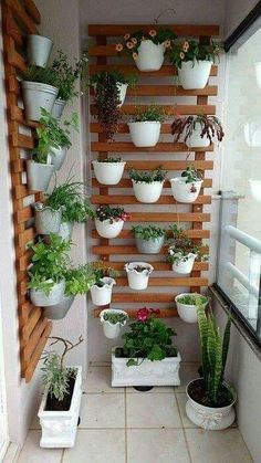 several potted plants are arranged on the wall