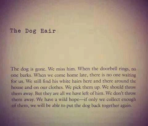 the dog hair poem is written in cursive writing