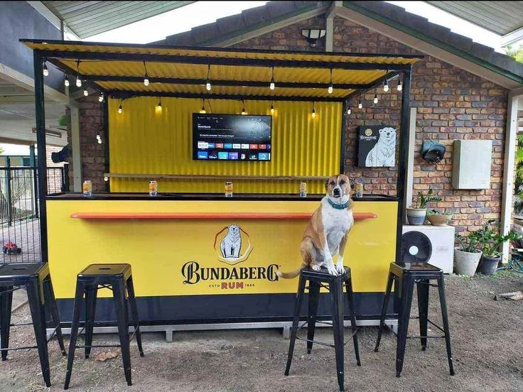 a dog sitting on top of two stools in front of a food stand with an outside bar