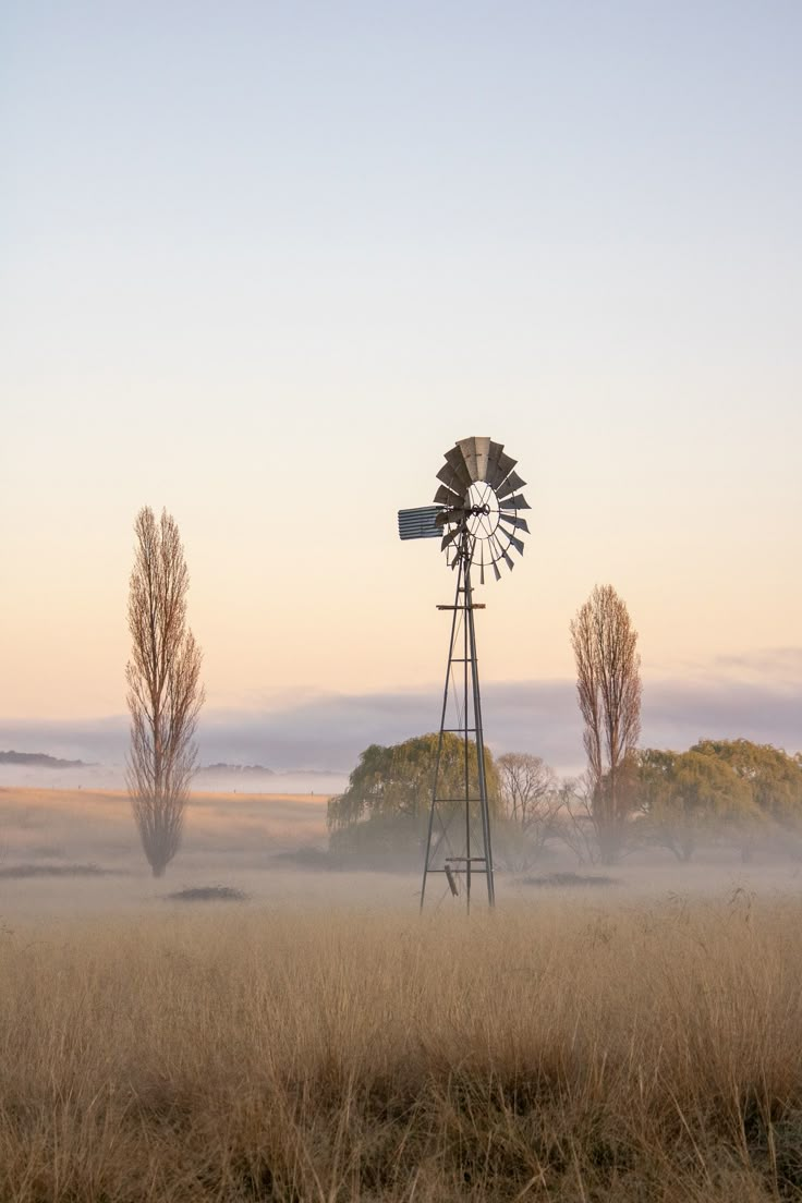 a windmill in the middle of a field with tall grass and trees behind it on a foggy day