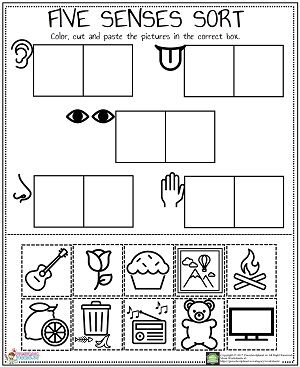 the five senses sort worksheet with pictures to help students understand what they are doing