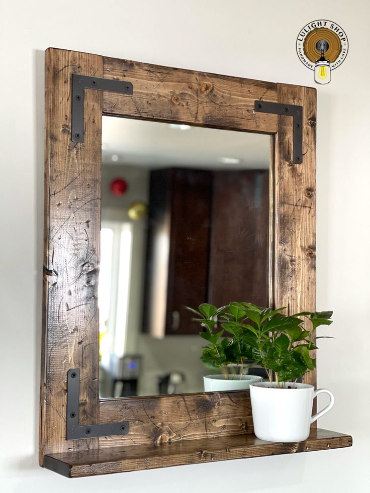 a potted plant sitting on top of a wooden shelf next to a large mirror