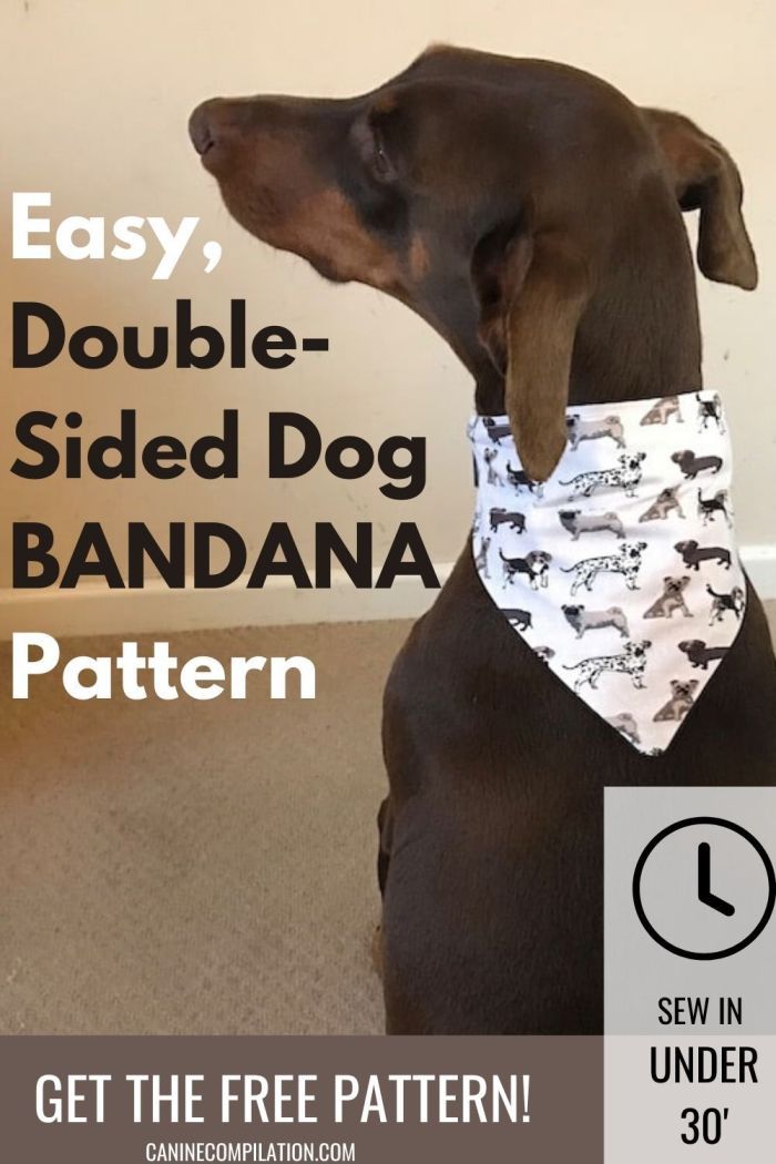 a brown dog wearing a bandana sitting on the floor with text over it that reads easy, double - sided dog bandana pattern get the free pattern