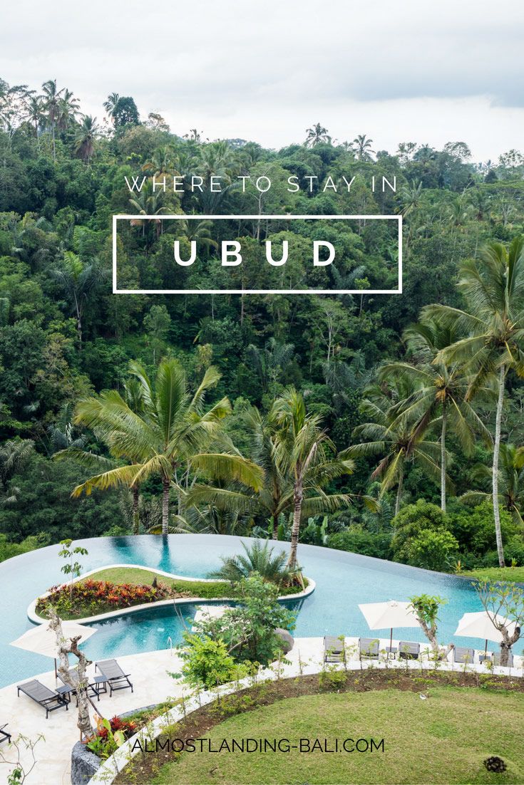 a pool surrounded by palm trees with the words where to stay in ubud