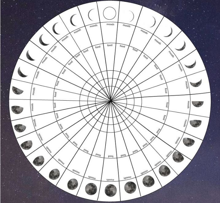 the phases of the moon are arranged in a circle