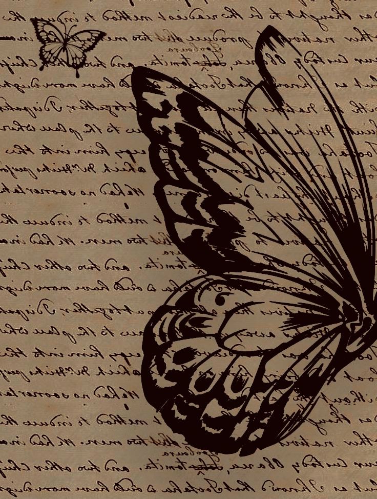 a drawing of a butterfly sitting on top of a piece of paper with writing underneath it