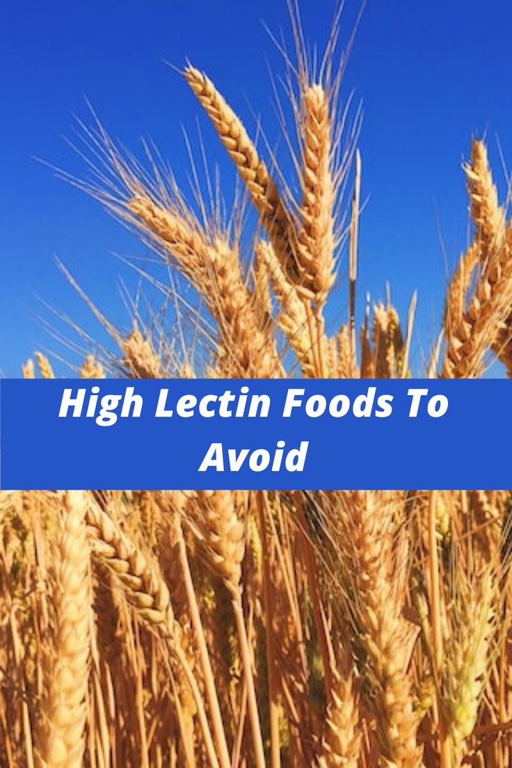 the words high lectin foods to avoid in front of an image of wheat