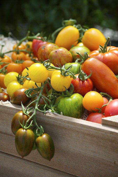 a wooden box filled with lots of different types of tomatoes on top of each other