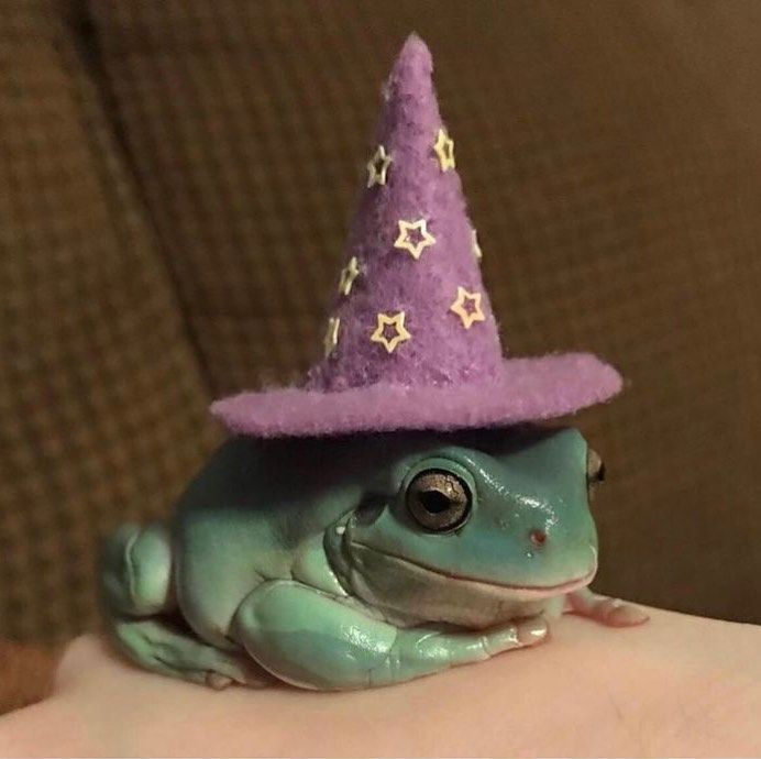 a green frog wearing a purple hat on top of it's head, sitting on someone's hand