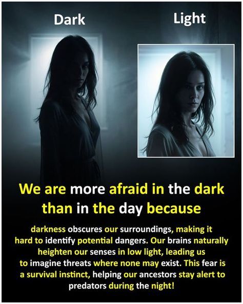 a woman standing in front of a window with the caption dark we are more afraid in the dark than in the day because