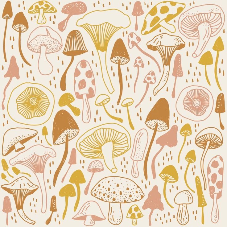 an illustration of many different types of mushrooms on a white background with orange and yellow colors