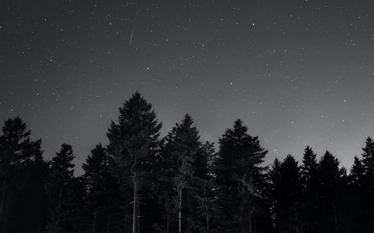 the night sky is filled with stars and trees