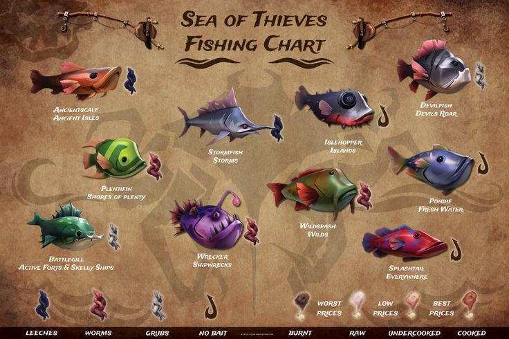 the sea of thieves fishing chart