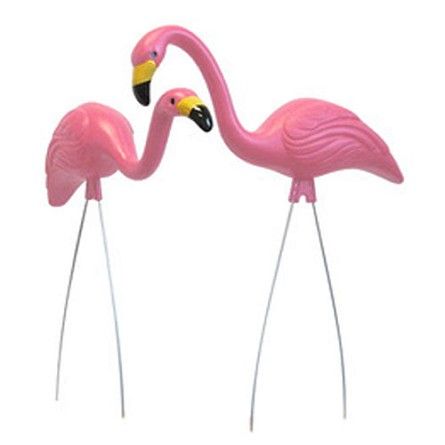 two pink flamingos standing next to each other