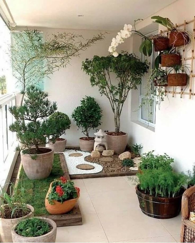 an outdoor patio with potted plants and rocks