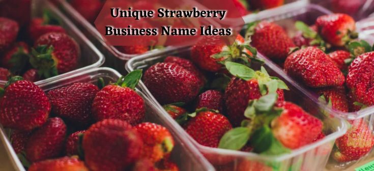 strawberries in plastic containers with the words unique strawberry business name ideas