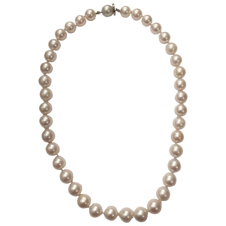 Elegant slightly graduated White Cultured Pearl Necklace with 18kt White Gold clasp. The cream colored pearls with beautiful luster measure 8 x 10mm and is finished at 17". Please contact me with any inquiries you may have. Pearl Necklace With Gold, Handmade Pearl Necklace, South Sea Pearl Necklace, Pearl Clasp, Necklace Clasp, Pearl And Diamond Necklace, Woven Necklace, Precious Beads, Beaded Jewels