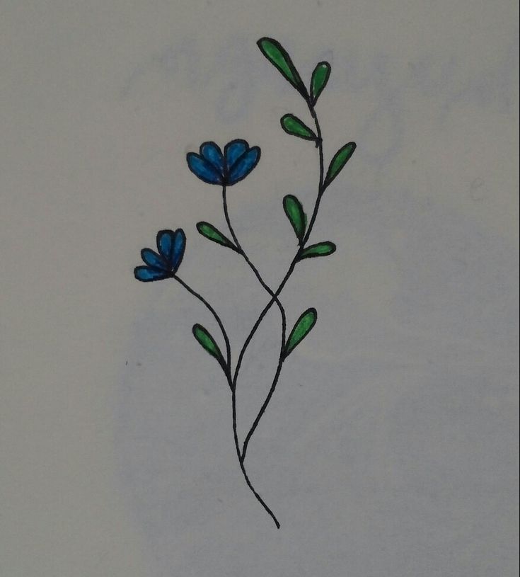 a drawing of blue flowers with green stems on a white surface, in the middle of an image