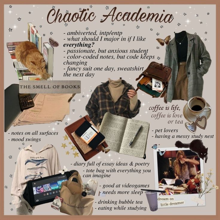 Chaotic Academia aesthetic card, containing pictures and  descriptions of Chaotic Academia. Writing Academia Aesthetic, Academia Aesthetic Essentials, 2000s Academia Aesthetic, How To Have A Dark Academia Aesthetic, Chaotic Academia Essentials, Dark Academia Librarian Aesthetic, Hot Academia Aesthetic, Academia Subtypes, Chaotic Acedamia Outfits